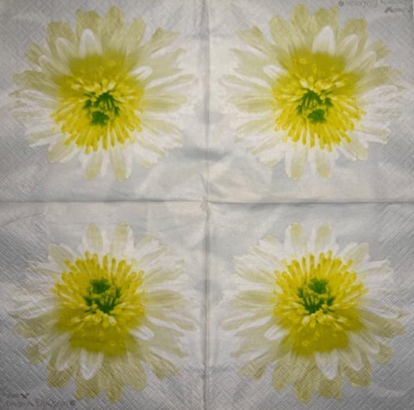 001 Flowers Others - 3 ply